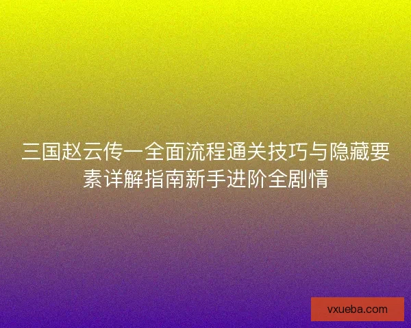 三国赵云传一全面流程通关技巧与隐藏要素详解指南新手进阶全剧情