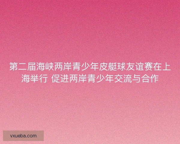 第二届海峡两岸青少年皮艇球友谊赛在上海举行 促进两岸青少年交流与合作